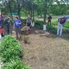 Волонтёры поселения навели санитарный порядок у памятника Неизвестному солдату