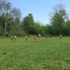 Футбольный матч по мини-футболу приуроченный к Празднику Весны и Труда